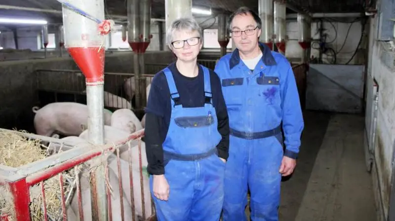 Peder og Birthe Monrad i en af staldafsnittene i svinebedriften Eskely, som de købte tilbage i 1988.