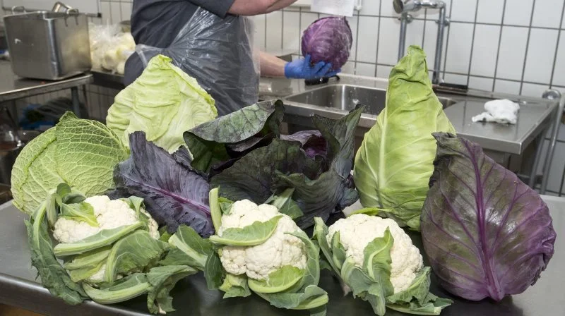 Køkkenet bruger 98 procent økologi i deres grønt. Foto: Food Organisation of Denmark