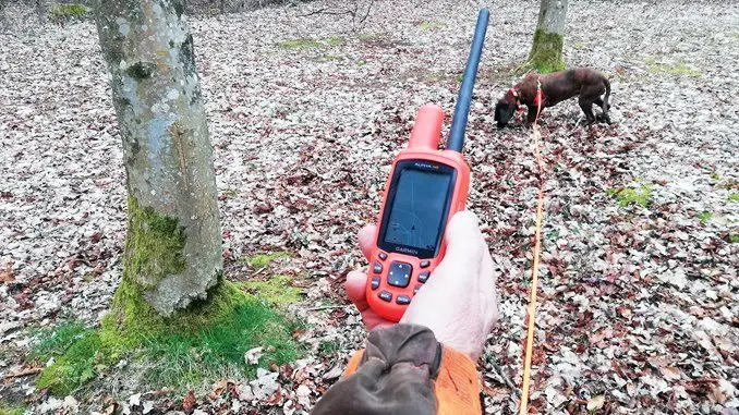 En håndholdt GPS, der er koblet til hundens T5-halsbånd, gør arbejdet med at finde nødstedt vildt nemmere for Schweiss-registrets hundeførere.