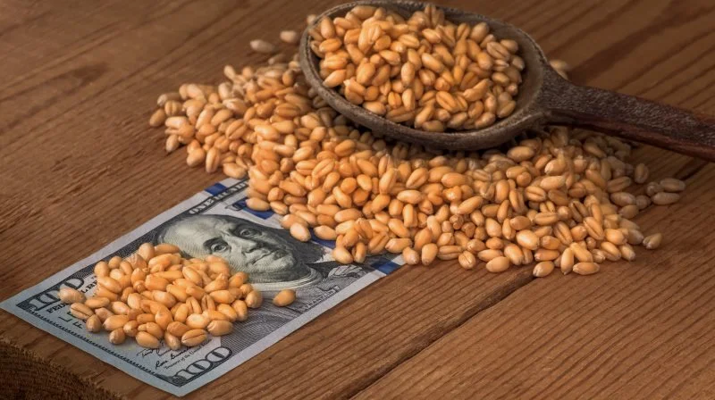 Den seneste Wasde-rapport er lettere prispositiv hele vejen rundt. Det er værd at bemærke nedgangen i Kinas import af hvede og Argentinas nedgang i produktionen af soja.