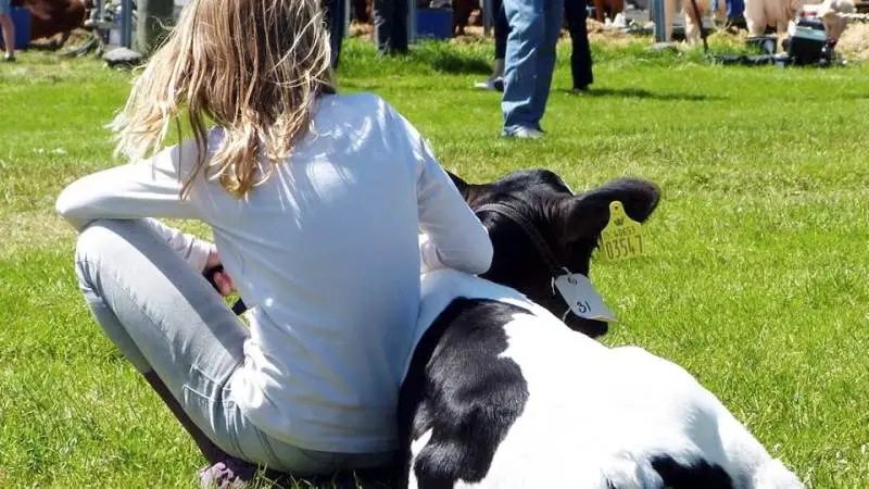 Allerede nu kan man begynde at glæde sig til MidtWest Farmshow lørdag den 15. juni.