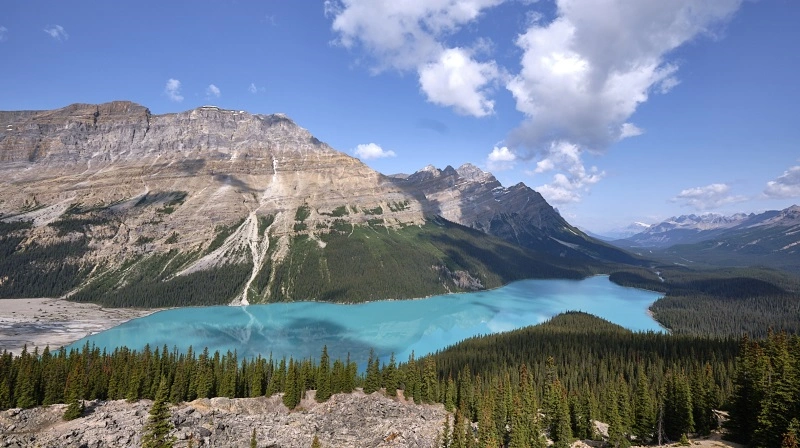 Naturen i de canadiske Rocky Mountains er storslået, som her ved Lake Peyto.