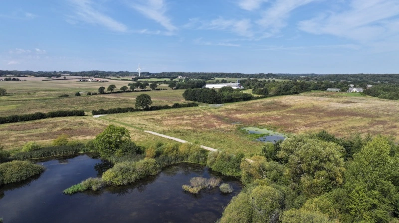 Her ses Åsemosen, som er et af de steder, hvor Assens Kommune allerede har arbejdet med udtagning af landbrugsjord til fordel for klima og miljø. PR-foto
