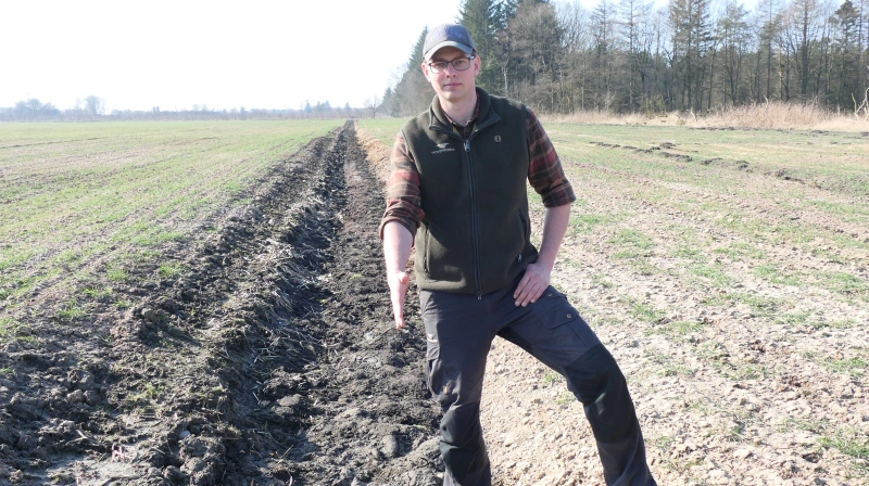 Der må ikke kunne dannes blank vand i det nyplantede areal. Skovfoged Anders Brøgger Jensen viser her, hvordan man med reolploven kan lave en grøft for overfladeafvanding, hvor det er praktisk. Fotos: Bøje Østerlund