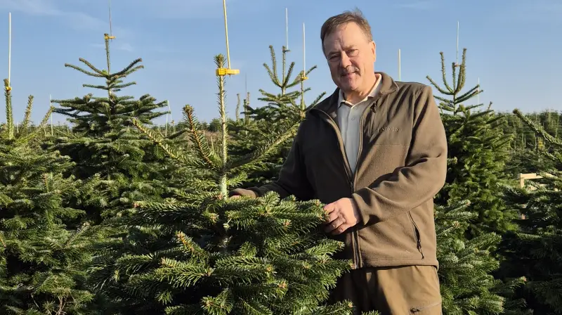 John Frandsen er mest kendt som manden bag det landsdækkende ejendomsmæglerfirma, men som hobby driver han 250 hektar med juletræer og vil vækste stille og roligt. Fotos: Tenna Bang
