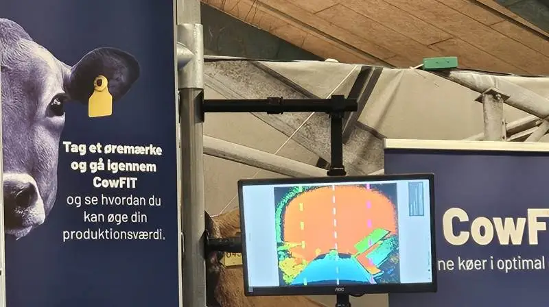 Med daglige vejninger ved hjælp af CowFit kan man ifølge Senior Project Manager hos VikingGenetics, Jan Lassen, holde øje med energibalancen i løbet af køernes laktationer og øge ydelse og drægtighedsprocent samt mindske risikoen for ketose, mælkefeber og lignende. Arkivfoto: Line Brusgaard