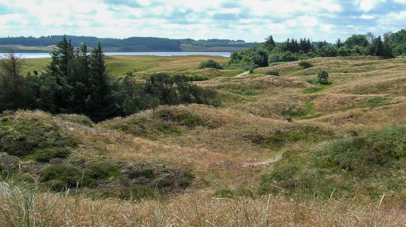 Uheldet med gyllevognen skete i Nationalpark Thy i Nordvestjylland, hvor billedet her stammer fra. Foto: Jens Nielsen via Wikimedia Commons