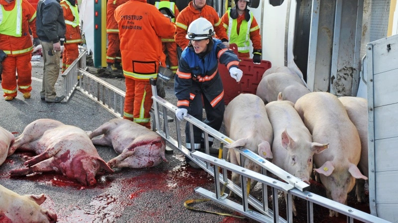 Den positive udvikling i tallene kan skyldes tilfældigheder, m.v., påpeger Midt- og Vestsjællands Politi. Arkivfoto