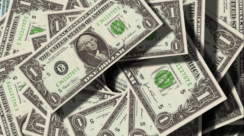 Den amerikanske dollar er styrtdykket siden årets begyndelse, og kursfaldet presser danske eksportører, ikke mindst inden for landbrug og fødevarer.