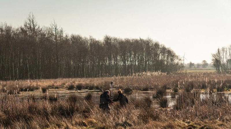 Der er allerede blevet genetableret vådområder i Varde, hvorved der er blevet taget lavbundsjorde ud af drift. Det gælder blandt andet her ved Kvong Mose. Foto: Varde Kommune