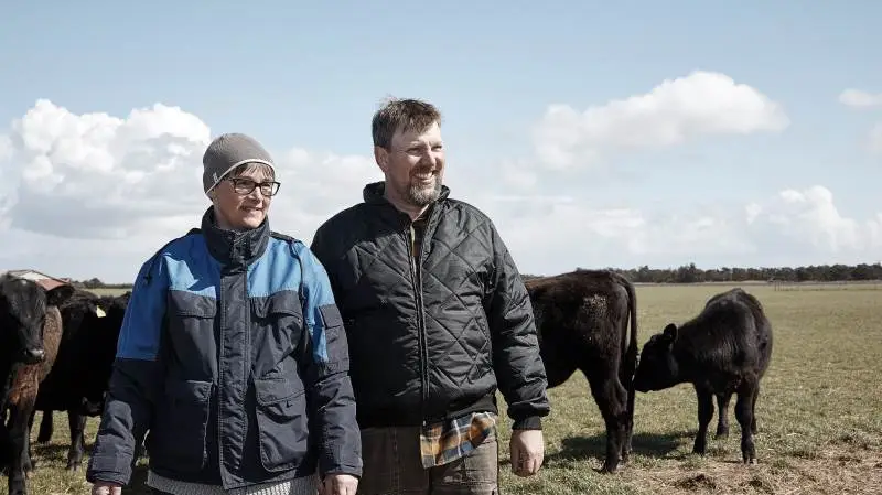 Naturplejen på Fanø udføres af anguskøer og en flok af henholdsvis merino- og texelfår. Flere af de afgræssede arealer har HNV-værdien (High Nature Value) 12. Skalaen går til 13.