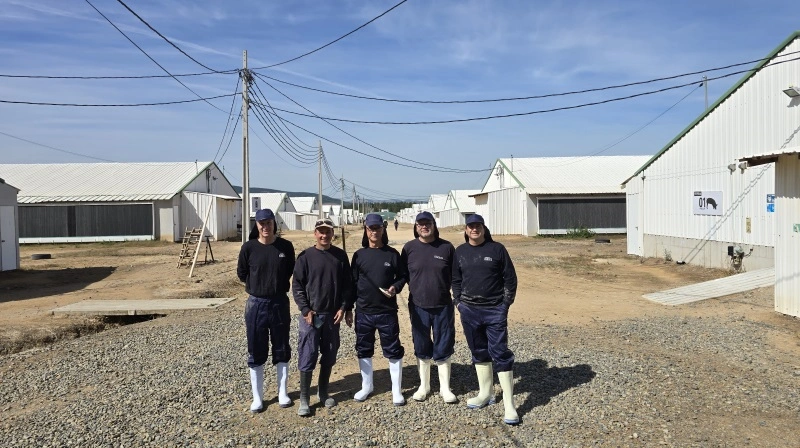 Effektivt Landbrugs udsendte (i midten) på staldbesøg på Coexcas topmoderne farm. Værter er fra venstre Javier Carmona, produktionschef Agricola Coexca S.A., Javier Santeliz, driftsleder, Patricio Lucero, administrator på farmen og Edgardo Castro Vega, kommunikationschef.