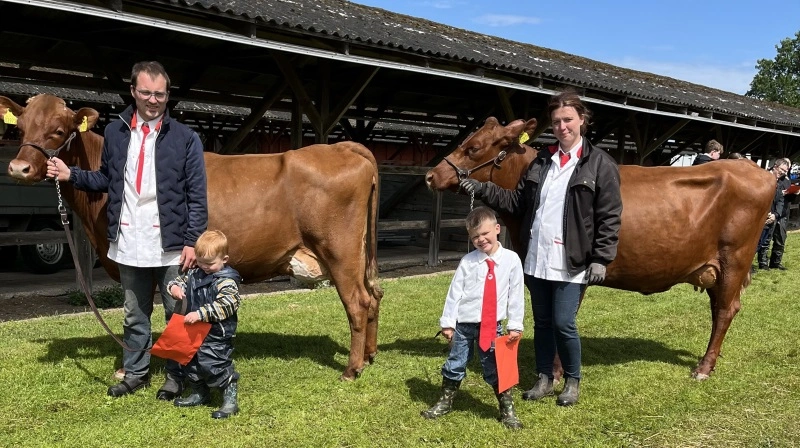 Anne Kathrine og Johan Bebe sammen med sønnerne Karl og Erik og et par af familiens røde malkekøer på sidste års udgave af Det Fynske Dyrskue. Foto: Kommpress