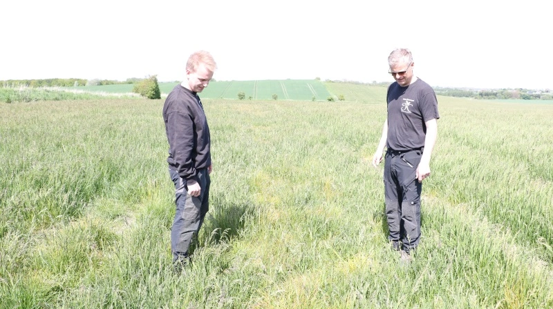 Hos Hans Sørensen (th) på Kærbygaard gør de meget ud af at spotsprøjte, og målet er et helt bestemt: De vil kunne levere et renere produkt. Her spiller den mere præcise sprøjtning en nøglerolle, og derfor har de også investeret i en nyere sprøjte. Hans Sørensen ses her sammen med medarbejder Christian B. Larsen. Foto: Velas
