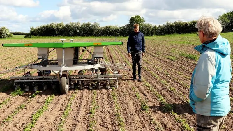 Farmdroid robotten er i disse uger i gang med ukrudtsbekæmpelse i en syv hektar stor mark med økologiske roer hos Hans Erik Jørgensen og Kirsten Rasmussen ved Jordløse. – Den kan erstatte 10 mands arbejde med at hakke roerne, fortæller Kirsten Rasmussen (med ryggen til). Ved markrobotten Kristian Warming, der sammen med sin bror har udviklet teknikken bag Farmdroid siden 2011.
