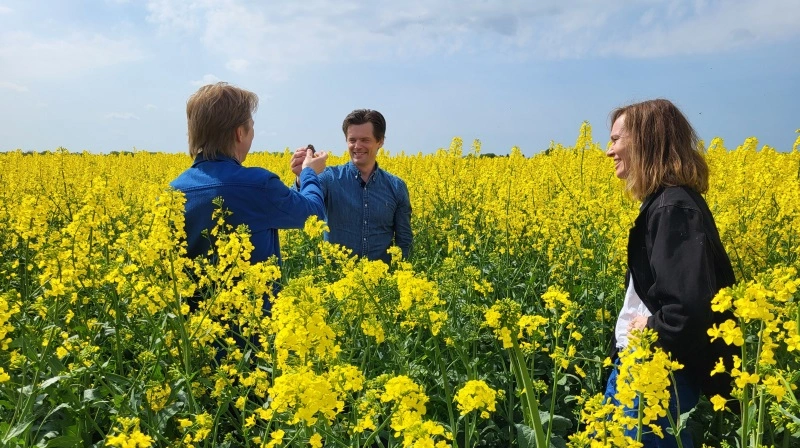 Skuespiller Brian Lykke, planteavlschef hos Agrovi, og landmand Hans Henrik Fredsted og kommunikationschef hos Nestlé, Anna Rise, har allerede været på jagt efter regnorme i regenerativt dyrket raps. Foto: Agrovi
