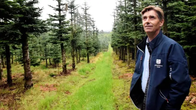 Det er et dilemma, at intensiv træproduktion fortrænger mere CO2 end urørt skov. - Udfordringen er at skabe den rette balance mellem hensynet til biodiversiteten i skovene og hensynet til klimaet, siger skovejer Ditlev Berner. Foto: Morten Ipsen