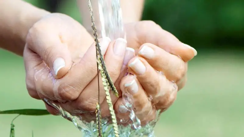 Indsatsplaner og forbud mod pesticider er omdrejningspunktet, når Foreningen for bæredygtig grundvandsbeskyttelse indkalder til møde onsdag den 3. juli.