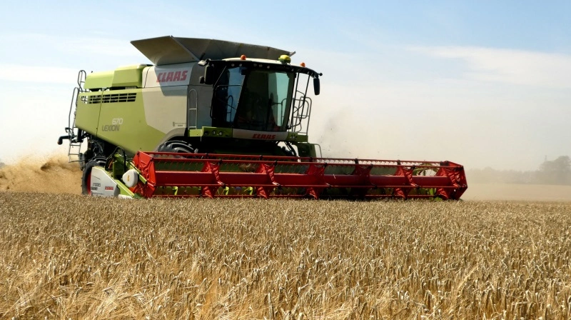 Overproduktion og lavere efterspørgsel har ført til markante prisfald på maltbyg det seneste år.