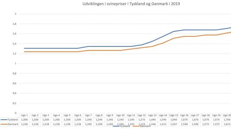 Priserne på svinekød har været i fremgang i det meste af 2019, hvor noteringerne i Tyskland og Danmark har fulgtes pænt ad. Man får dog stadig en bedre betaling for svinekød syd for grænsen end nord for. Kilde: Danske Svineproducenter