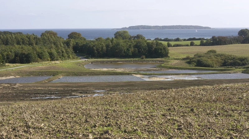 - Den jordudtagning og den ekstensivering af dyrkningsfladen samt al den teoretiske kvælstofreduktion, der blev sat i værk i miljøets og klimaets hellige navn, bør trækkes tilbage med øjeblikkelig virkning, mener læserbrevskribenten. Arkivfoto