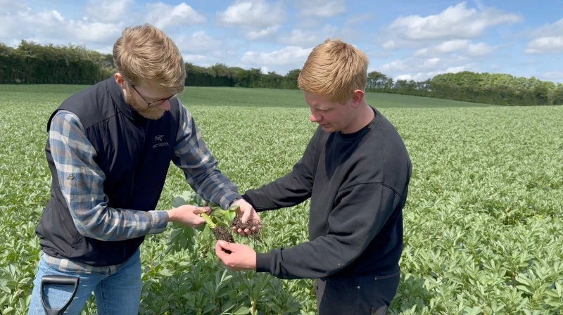 På Oplev Hedegaard syd for Støvring har griseproducent og planteavler, Simon Mølgaard, for første gang taget en biostimulant i brug. Resultaterne af biostimulanten, SeedSpeed®, viste tydelige forskelle i 2024, så Simon Mølgaard har allerede udvidet forsøget i 2025.