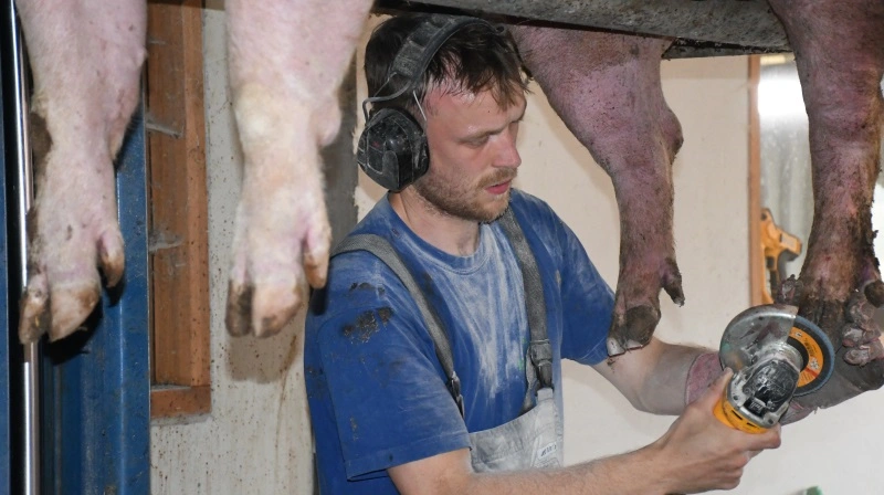 Mads Christiansen er en af de medarbejdere, der har ansvaret for, at der bliver foretaget korrekt »manicure« på søerne i besætningen hos Dynagro. Fotos: Camilla Bønløkke