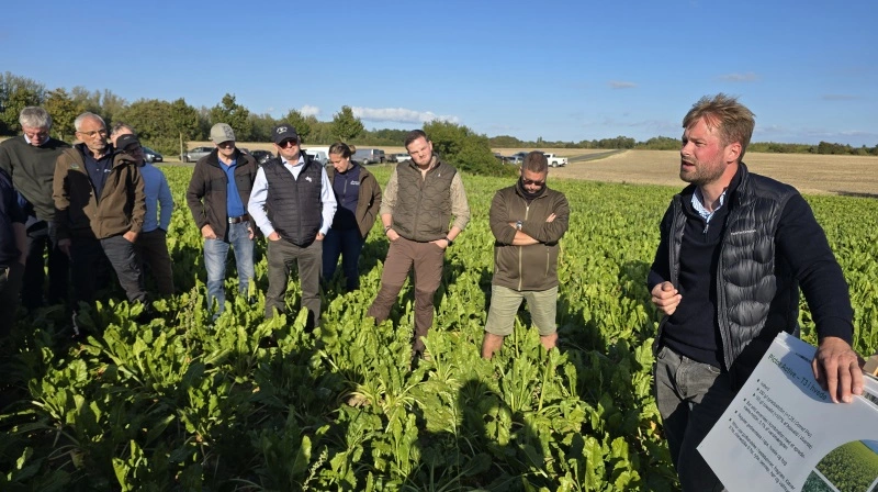 Anders Christensen fra BASF opdaterer godt 40 landmænd om de aktuelle kraftige svampeangreb i sukkerroerne ved et vejkantsmøde nær Nakskov på Lolland. Fotos: Jørgen P. Jensen