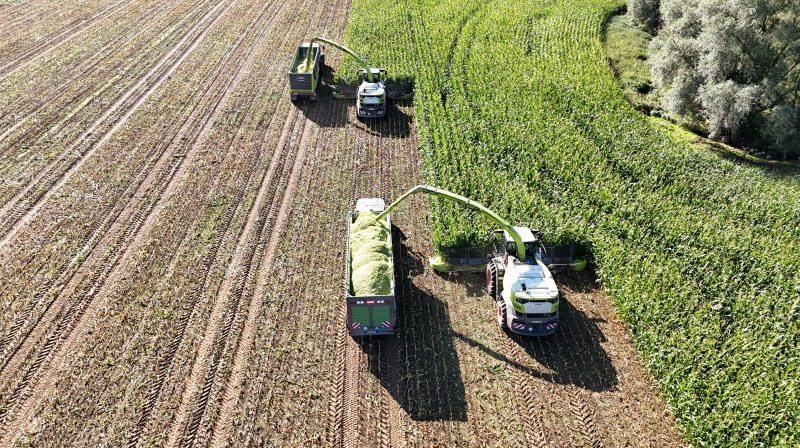 Den nye Claas Jaguar 1200 er topmodellen i 1000-serien med 1.110 hk fra en MAN V12-motor og et bredt afgrødeflow. Kombinationen af hydraulisk forkomprimering og en 910 mm V-Flex snittecylinder sikrer ensartet snittekvalitet og en kapacitet på op til 500 ton i timen. Fotos: Per Jørgensen