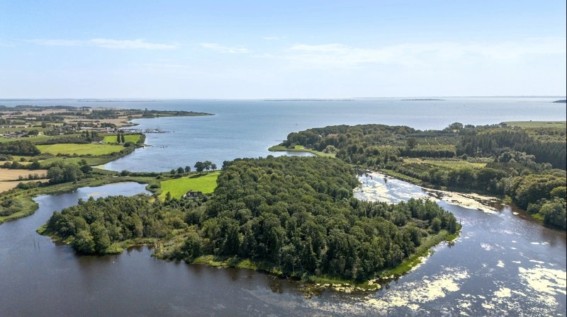 Fra luften ses de 119 hektar ved Nakkebølle Fjord, hvor sø, skov og eng ligger side om side med kystlinjen ud til det sydfynske øhav. Fotos: EDC Landbrug Poul Erik Bech