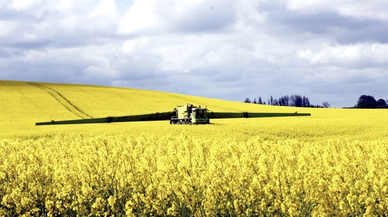 - Vi står i en situation, hvor vi er i fare for at miste en række meget betydelige produktionsmuligheder specielt indenfor havefrø, markfrø, raps og kartofler, siger Torben Hansen. Arkivfoto