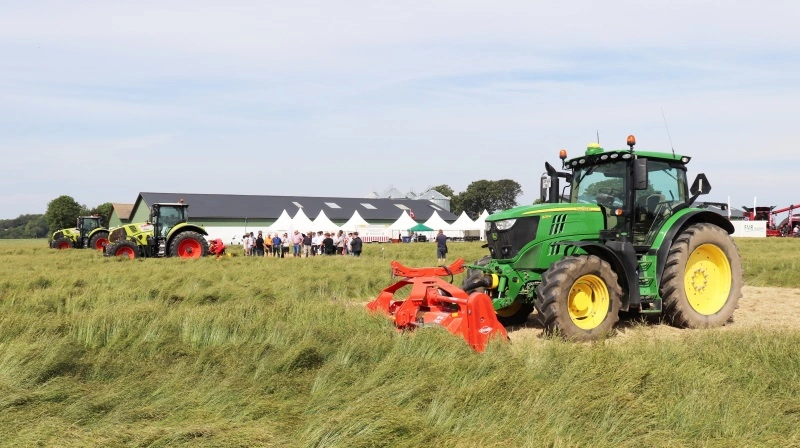 - Vi må ikke ende i en irreversibel situation, hvor vores verdensførende frøproduktion af græs- og havefrø falder fra hinanden, lyder det fra Brancheudvalget for Frø. Arkivfoto: Jørgen P. Jensen
