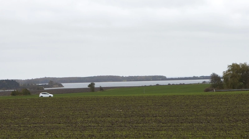 - Det er vigtigt, at vi alle erkender, at ikke én løsning passer alle steder. Det er forskelligt, hvordan man bedst reducerer fosfor, og hvordan man får ålegræsset til at gro, skriver Søren Søndergaard. Arkivfoto: Erik Hansen