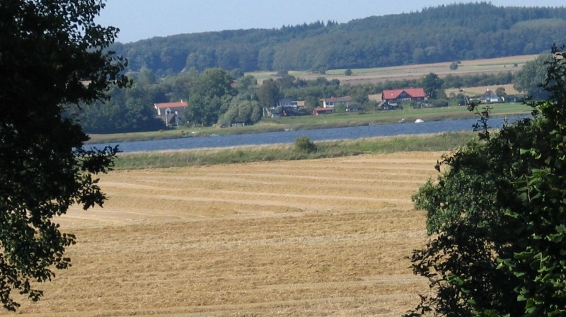 Der er adskillige marker nær Randers Fjord, men dem, der har ligget på lavbundsjorde kan se frem til at blive omdannet til natur fremover. Foto: Anne Wolfenberg