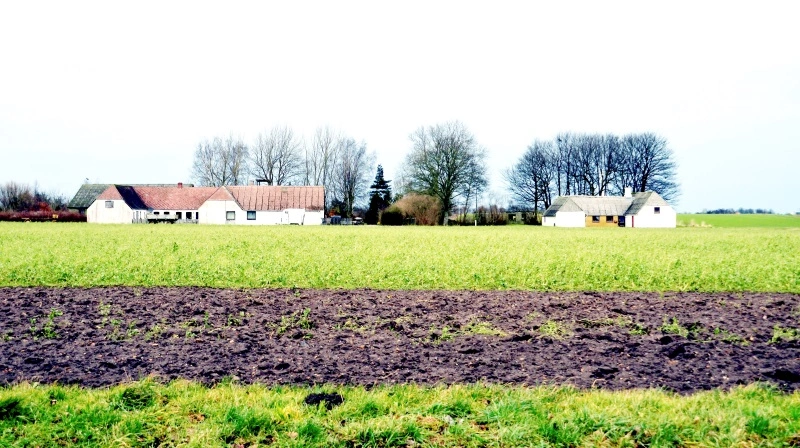 Må Danmark godt lave væsentlig om på reguleringen af landbruget uden godkendelse fra EU, lyder et af Ann Louise Worsøe Jørgensens spørgsmål. Arkivfoto