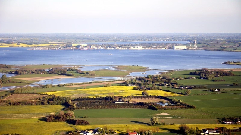Cirka 10 procent af landbrugsjorden i oplandet til blandt andet Odense Fjord skal tages ud af drift og i stedet blive til vådområder, skov og natur som følge af den nye aftale. Arkivfoto