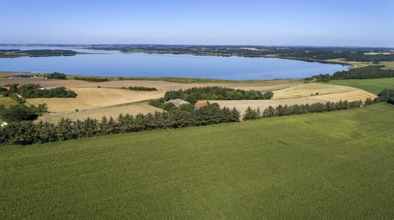 Der skal andre virkemidler end blot udtagning af landbrugsjord til, hvis den grønne trepart for Limfjorden skal nå de fastsatte mål for CO2-udledning og kvælstof, står det klart. Arkivfoto: Claus Haagensen