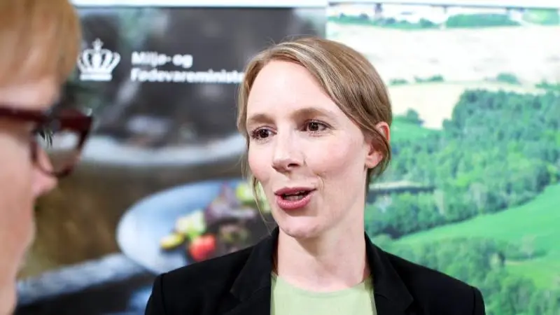 Lea Wermelin er ny miljøminister. Hun er 34 år og blev valgt til Folketinget første gang i 2015.