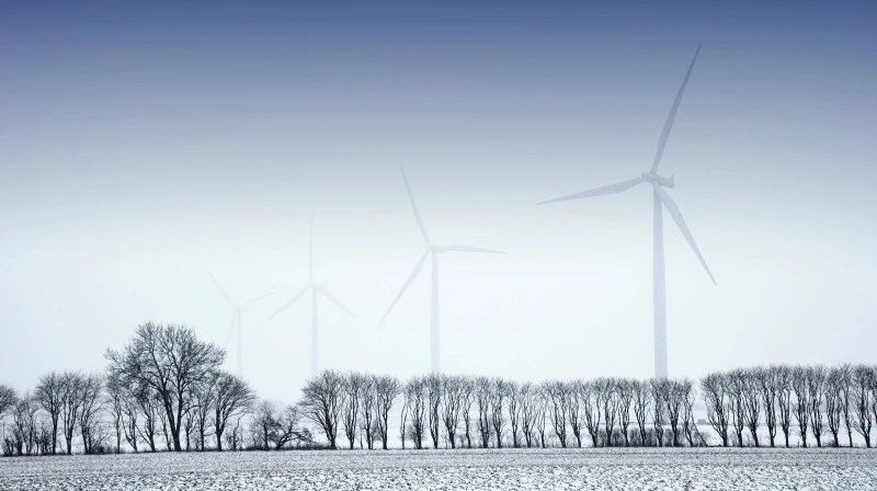 EU’s vintersæd er godt etableret, men vinterfrost og vejrudsigter i Centraleuropa kan hurtigt ændre markedet. Arkivfoto