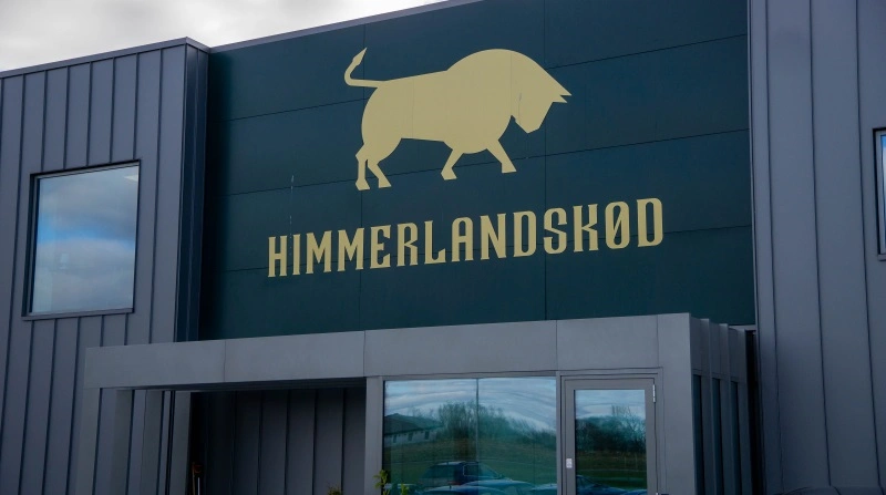 Moderselskabet til Himmerlandskød er gået sammen med Tican og stiftet virksomheden Moert, der skal tilbyde både okse- og grisekød til supermarkedskæder og foodservice. Arkivfoto: Søren Nørgaard