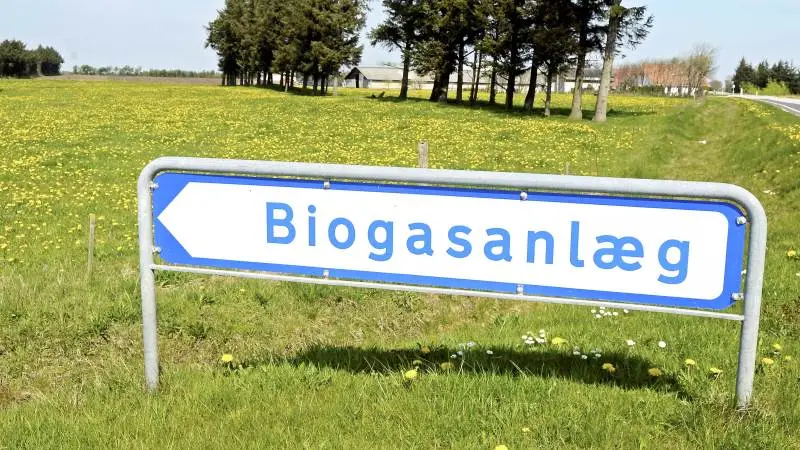 Biogasanlægget i Kliplev har været længe undervejs. Nu har folkene bag anlægget nået en milepæl med myndighedernes godkendelse i projekteringen. Arkivfoto