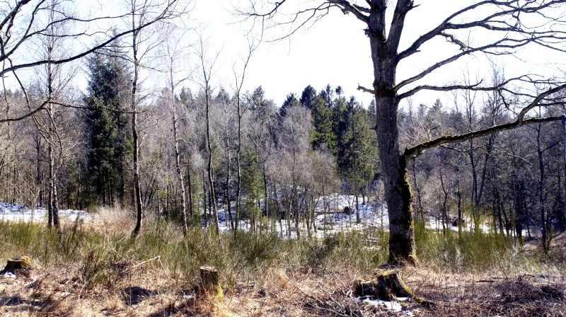 Arkivfoto