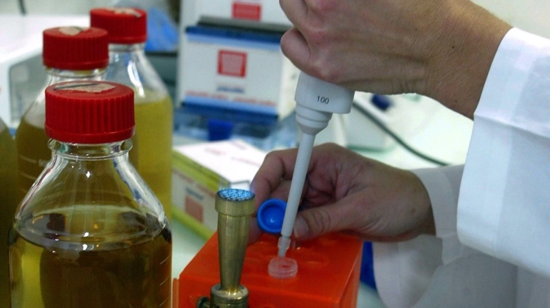 Er den massive finansiering fra private fonde og nye patentregler i virkeligheden ved at fjerne danske landmænds handlefrihed og gøre erhvervet afhængigt af globale biotekgiganter, spørger læserbrevsskribenten. Foto: Colourbox