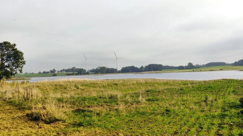 Der er udsigt til langt flere vådområder i Danmark i fremtiden. De skal hjælpe med at sænke udledningerne af kvælstof og bidrage til god økologisk tilstand i vandmiljøet herhjemme. Arkivfoto
