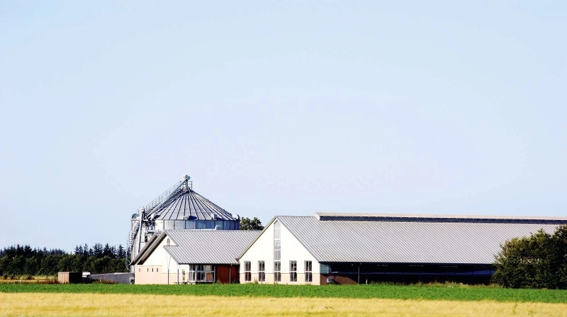 Gårdene bliver større og større, og det gælder især heltidslandbrug.