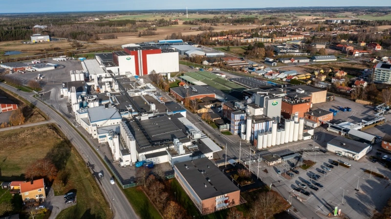Arla investerer 300 millioner euro i ost i Sverige, fordobler kapaciteten og løfter selvforsyningen markant. Foto: Arla Foods