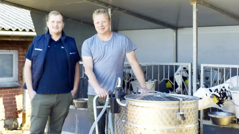 For to og et halvt år siden begyndte mælkeproducent Hans Jacobsen (th) at bruge mælkepulver fra Denkavit. Kalvene stortrives, og Hans Jacobsen nyder at se deres enorme drikkelyst. Palle Mortensen er rådgiver ved Nutrax, som sælger de hollandske produkter i Danmark. Fotos: Tenna Bang