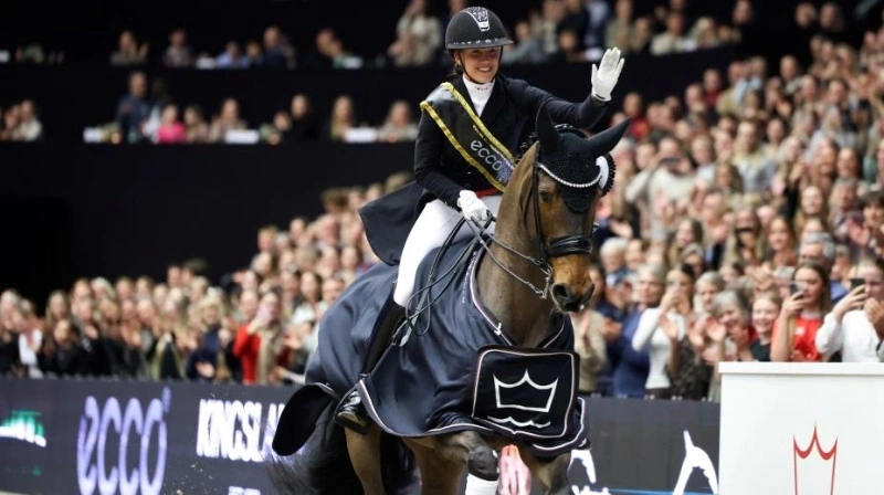 Publikum kunne blandt andet opleve internationale dressurklasser på højt niveau i Ecco Five Star Dressage, spændende springsport og præsentation af hingste af høj kvalitet. Foto: Wiegaarden