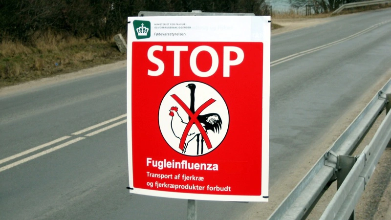 Arkivfoto