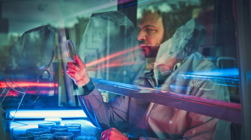DTU og startups vil med AI udvikle svampe til bæredygtige løsninger i landbrug, fødevarer og industri. Foto: Jeppe Carlsen / DTU